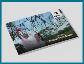 Reporte Integrado 2025