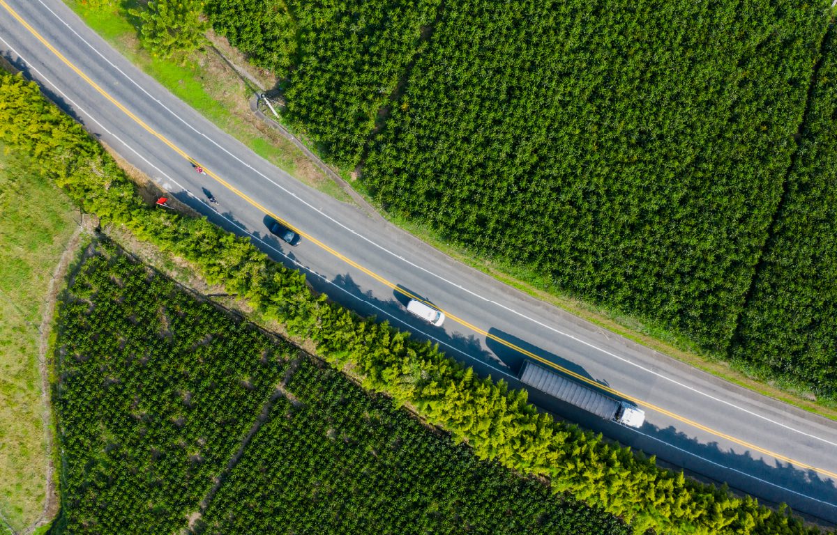 Autopistas del Café