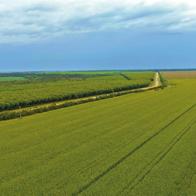 Concesión Vial de los Llanos