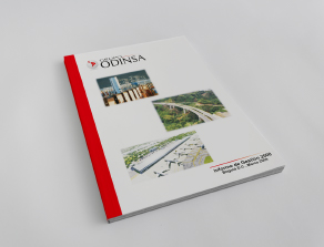 Informe de Gestión 2008
