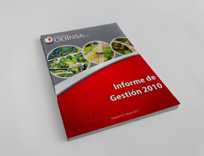 Informe de Gestión 2010