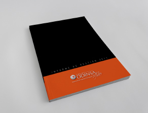 Informe de Gestión 2011