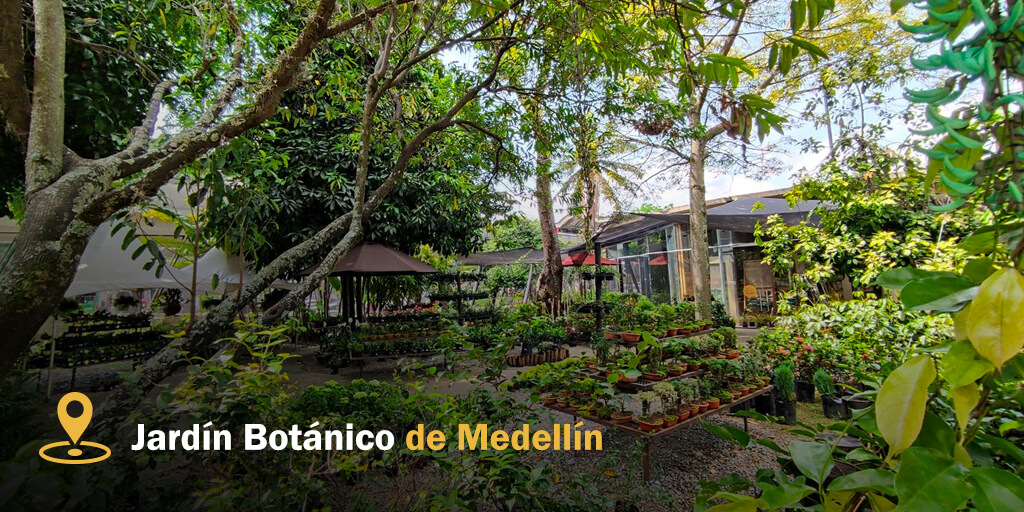 VISITAR MEDELLIN - TWITTERArtboard 3