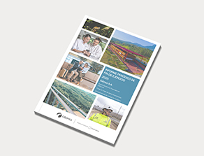 Informe fin de ejercicio 2025